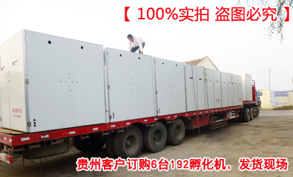 慧达孵化设备简介