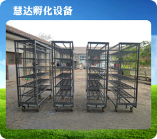 大型鸵鸟孵化蛋车